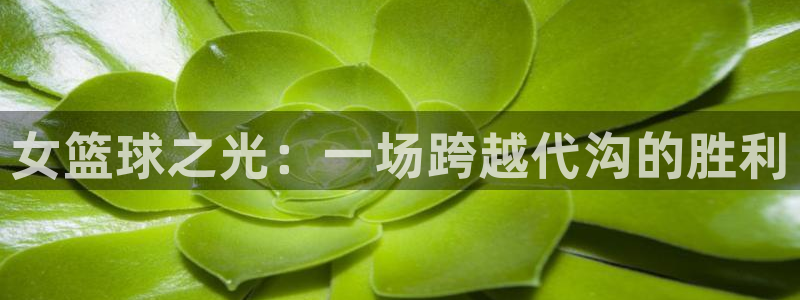 球速体育app官方下载最新版
